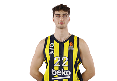 Yiğit Hamza Mestoğlu resmi